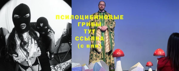 2c-b Верхний Тагил